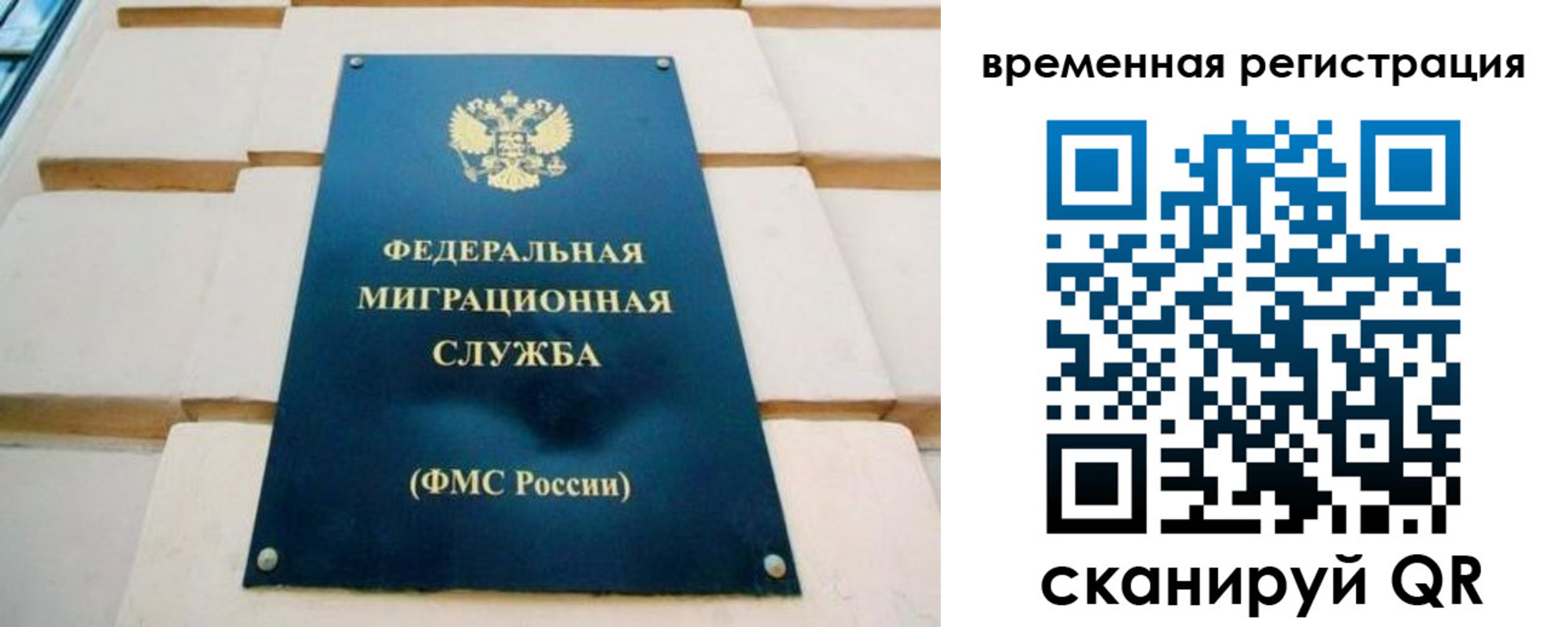 прописка гарантия в Алексеевке